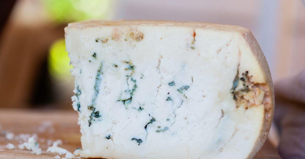 Liste des fromages fermentés à découvrir absolument