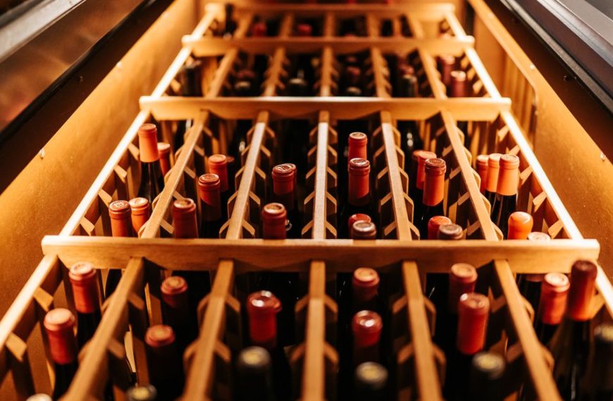 découvrez la température idéale pour votre cave à vin afin de préserver parfaitement vos bouteilles et sublimer leurs arômes.