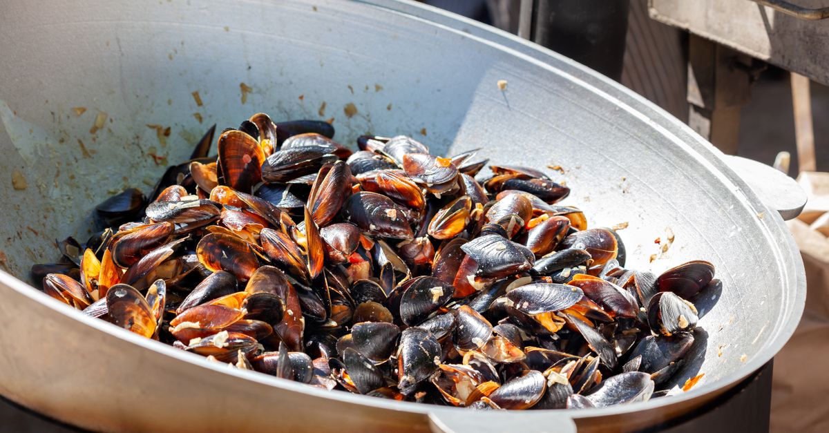 découvrez tout sur les moules : recettes savoureuses, conseils de cuisson et bienfaits nutritionnels de ce fruit de mer délicieux.