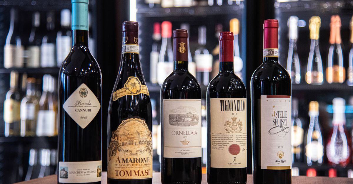 découvrez notre sélection de vins rouges raffinés, riches en arômes et parfaits pour accompagner vos repas et moments conviviaux.