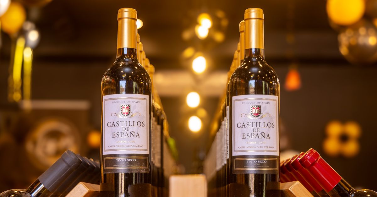 Découvrir les secrets du vin espagnol et ses régions viticoles