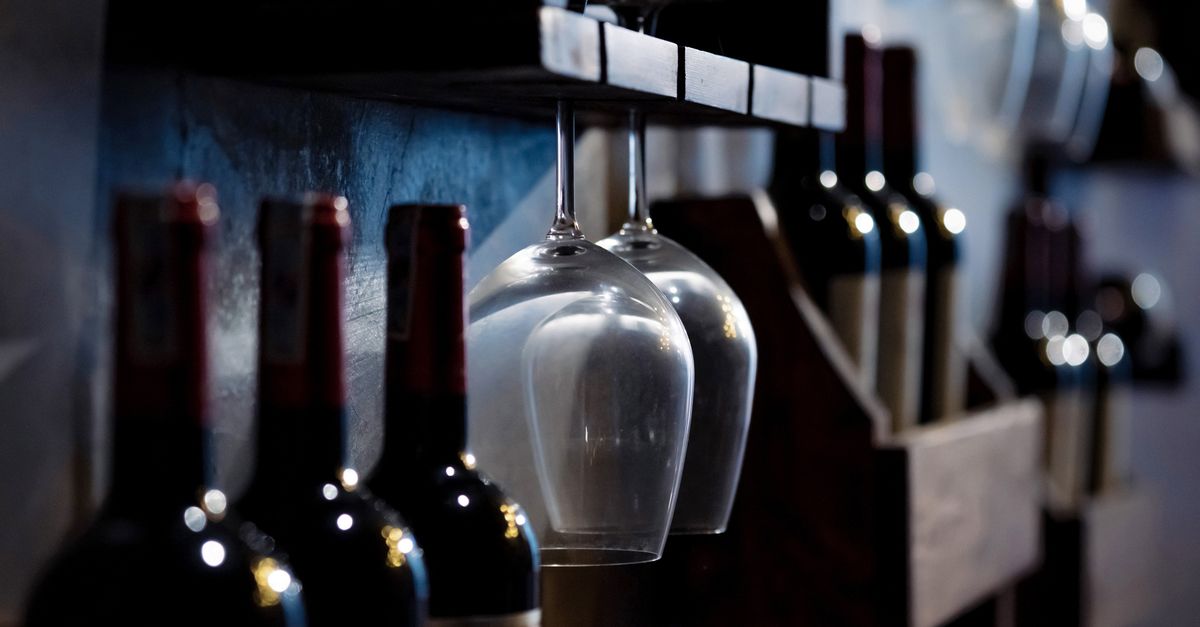 Tout savoir sur le vin tannique et ses caractéristiques