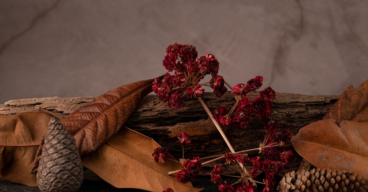 Les tanins du vin : comprendre leur rôle et leurs effets