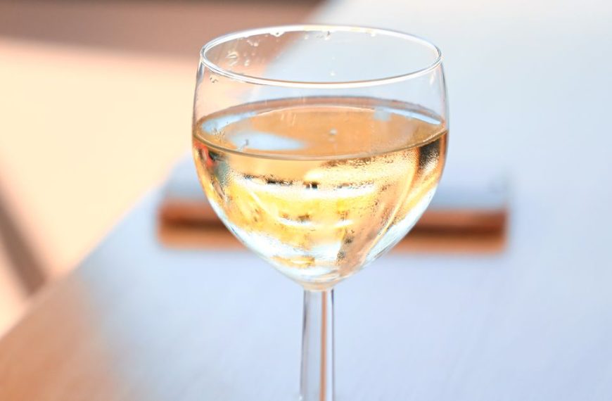découvrez notre sélection de vins blancs secs, aux arômes frais et délicats, parfaits pour accompagner vos repas et apéritifs.