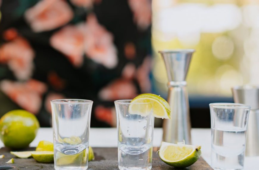 découvrez les différents types de tequila, leurs caractéristiques uniques et comment les apprécier pour une expérience authentique.