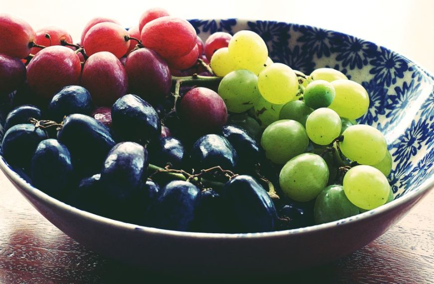 découvrez les cépages blancs aromatiques qui offrent des saveurs uniques et des arômes délicats pour sublimer vos vins blancs.