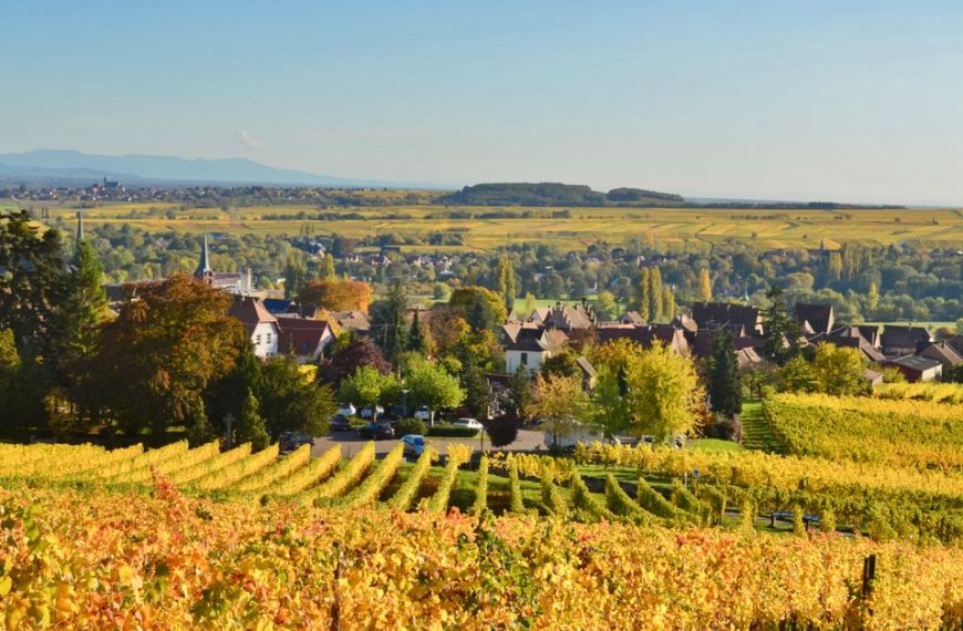 découvrez comment éviter les vins blancs d'alsace trop sucrés et choisissez des crus secs et raffinés pour accompagner vos repas avec élégance.