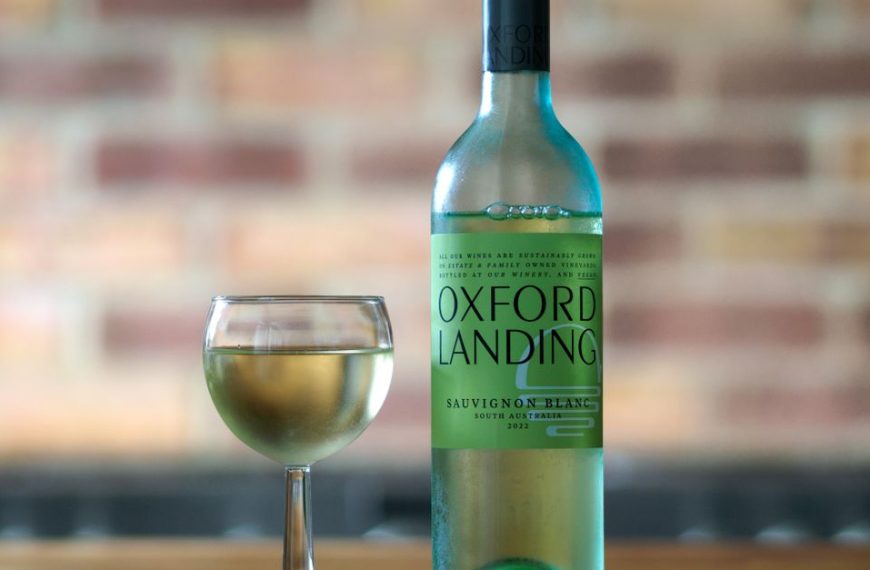 découvrez le quincy sauvignon blanc, un vin blanc français frais et élégant, parfait pour accompagner vos repas estivaux et apéritifs.