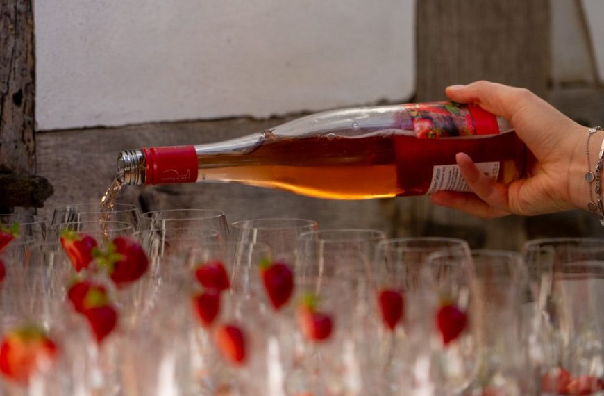découvrez notre sélection de vins rosés d'occasion de qualité à prix avantageux. parfaits pour les amateurs de vins à la recherche de bonnes affaires.