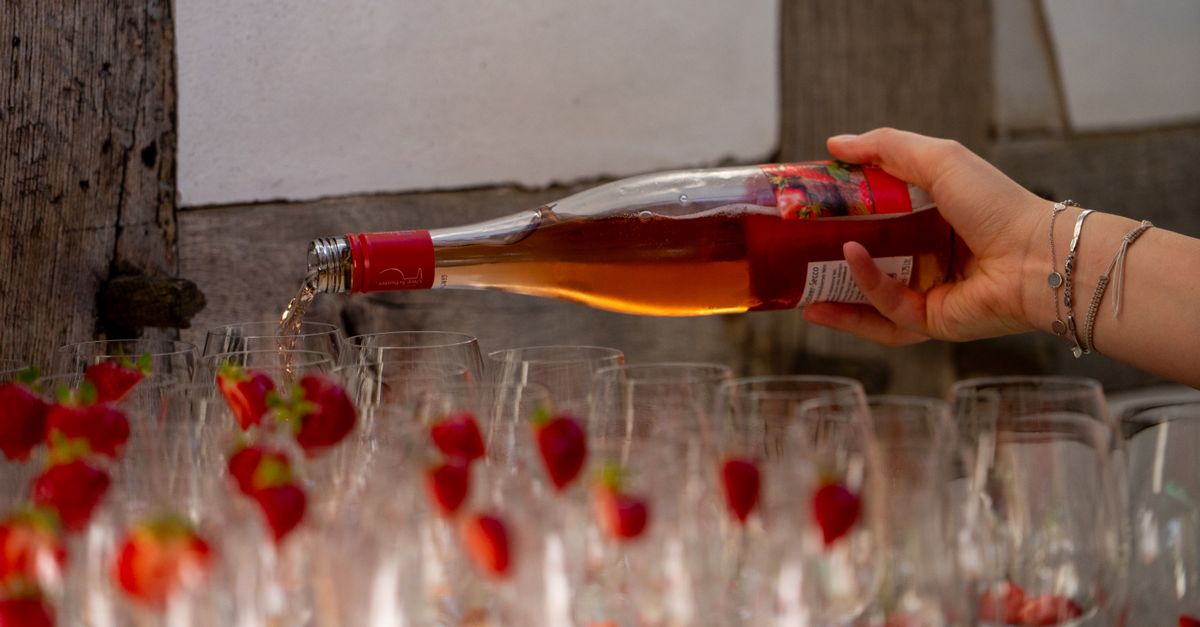 Acheter du vin rosé d'occasion : comprendre les labels et choisir la bonne gamme 1 découvrez notre sélection de vins rosés d'occasion de qualité à prix avantageux. parfaits pour les amateurs de vins à la recherche de bonnes affaires.