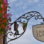 découvrez les régions viticoles renommées, leurs cépages uniques et les saveurs authentiques des meilleurs vins du monde.