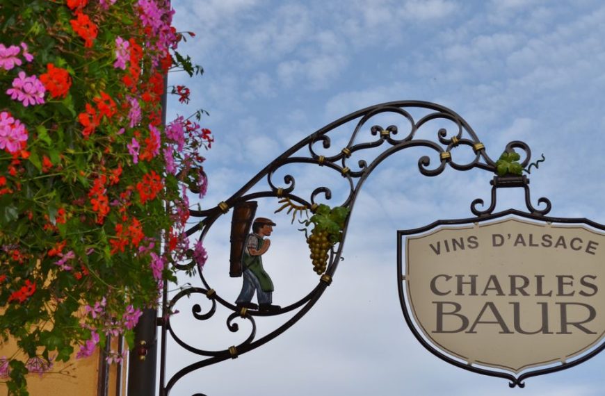 découvrez les régions viticoles renommées, leurs cépages uniques et les saveurs authentiques des meilleurs vins du monde.